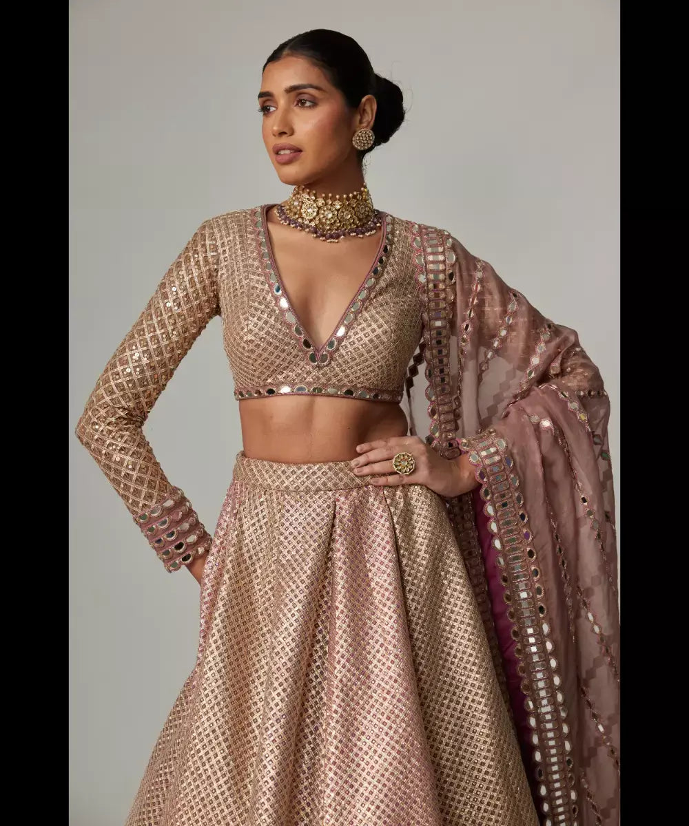 VVANI VATS - Deep beige multicolor Skirt with  V Neck Full Sleeve Top
